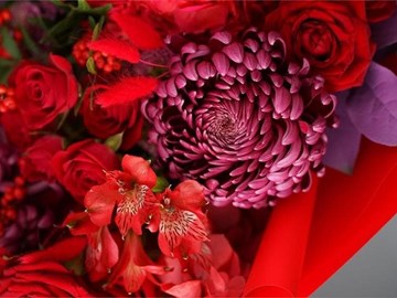 Además de rosas… ¿Qué otras flores regalar en San Valentín?