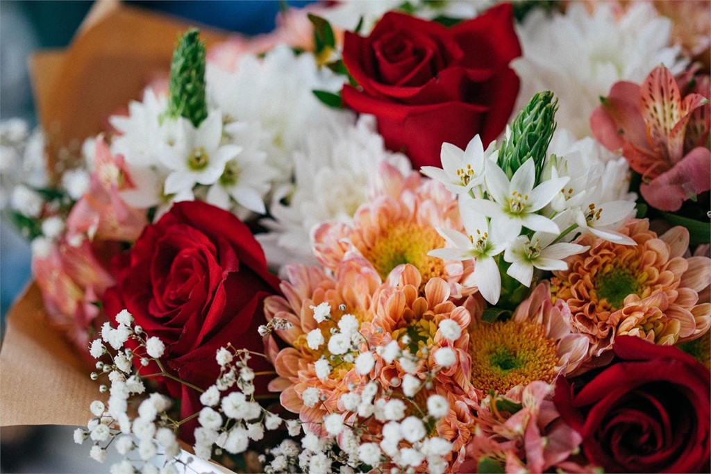 Flores con significados especiales para regalar estas Navidades