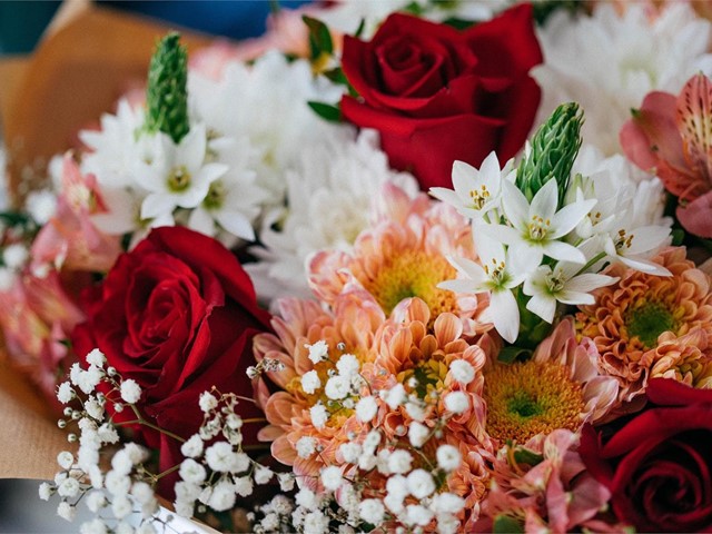 Flores con significados especiales para regalar estas Navidades