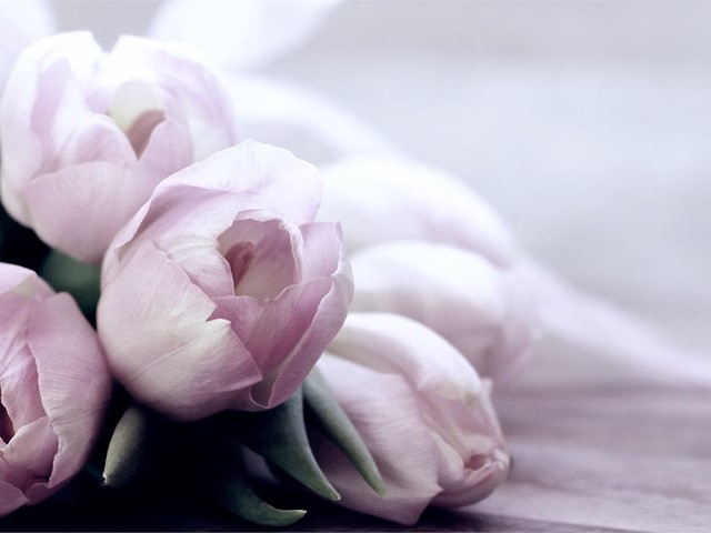 Flores para madres que acaban de dar a luz