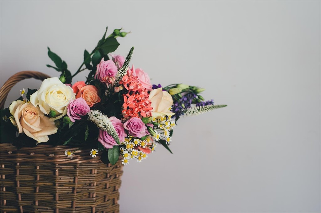 Floristería con cultivos propios en Ferrol