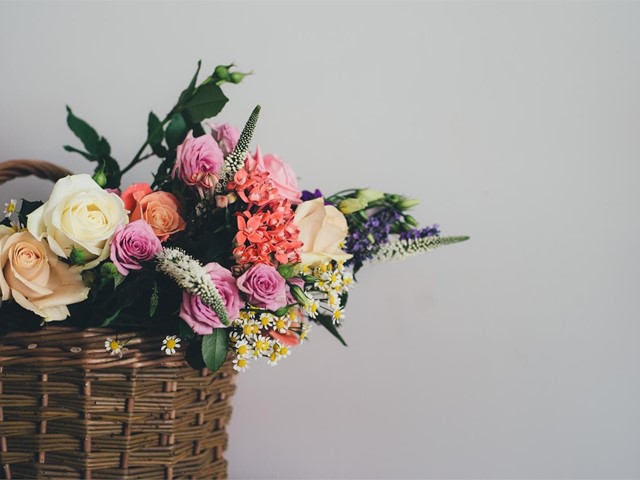 Floristería con cultivos propios en Ferrol