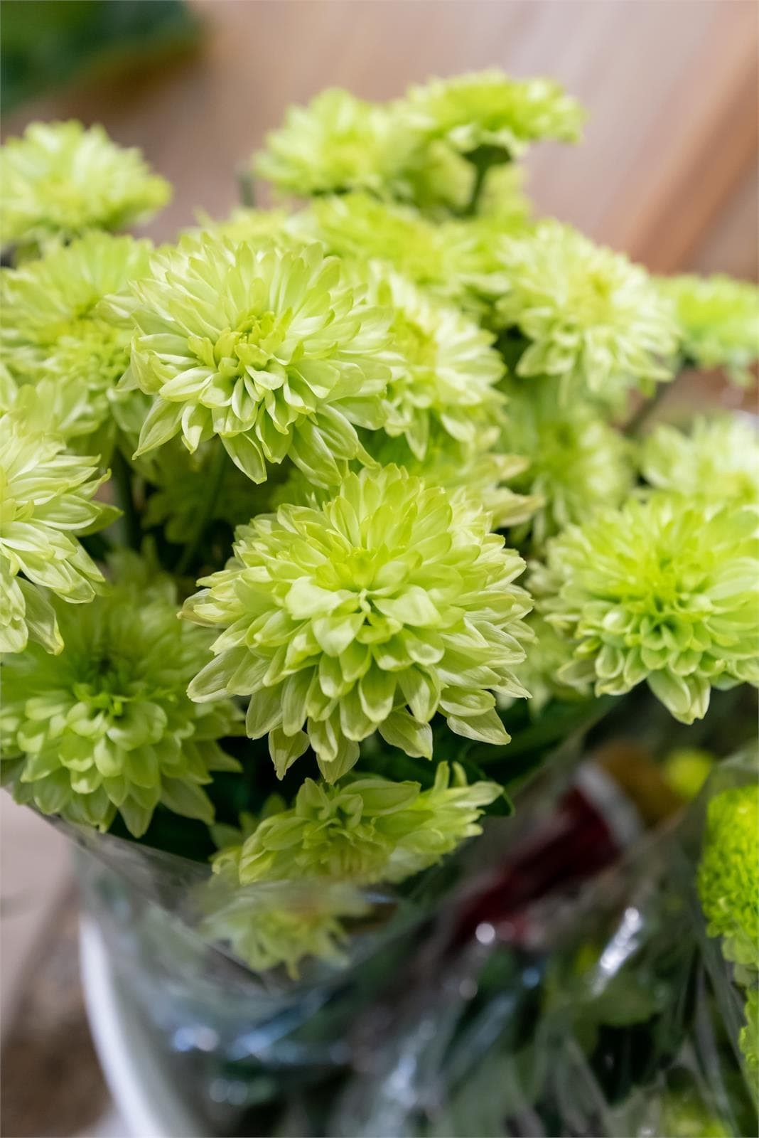 Encargar flores para el Día de Difuntos - Floristería en Ferrol