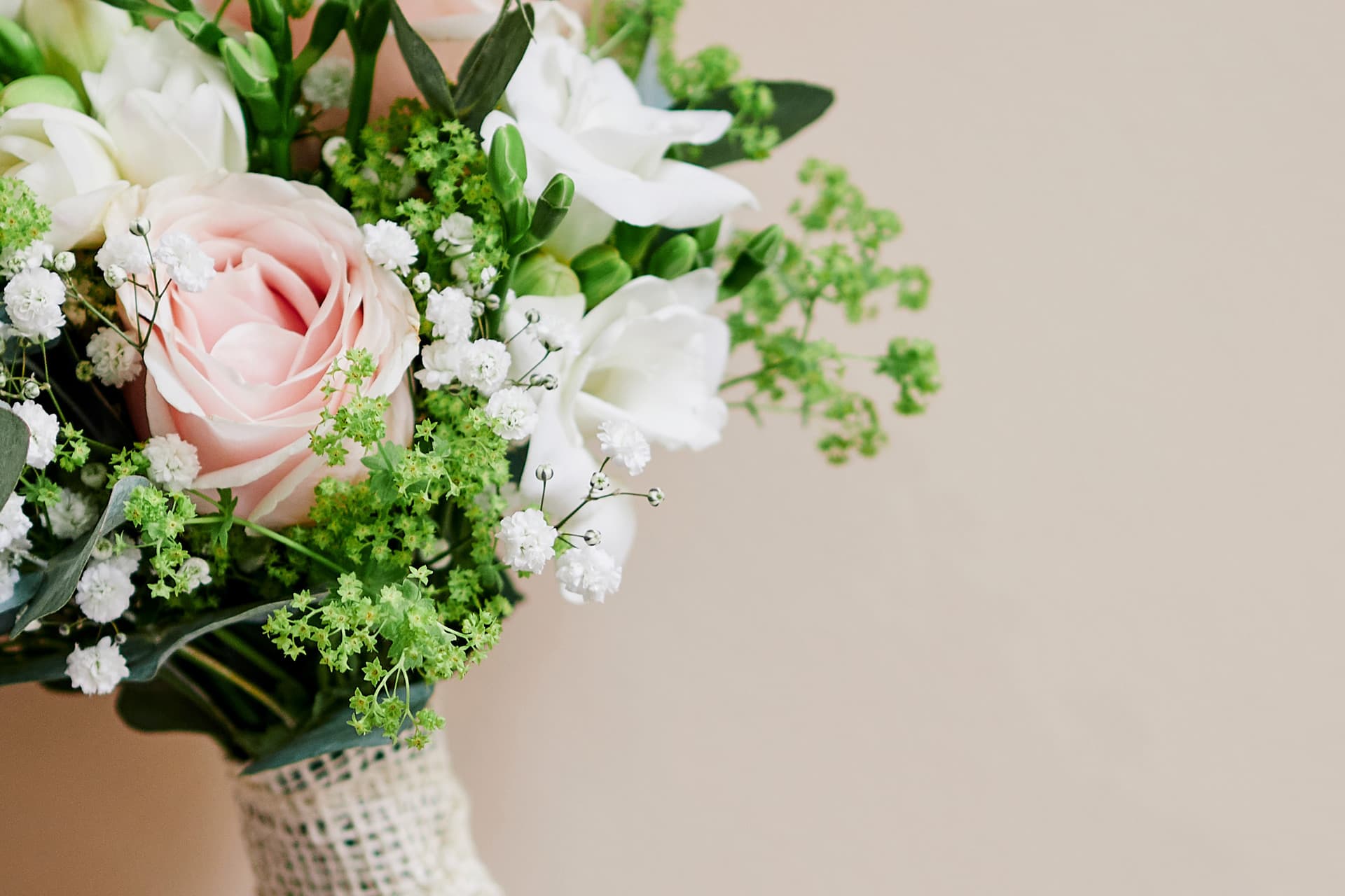 ¿Por qué las rosas simbolizan el amor?