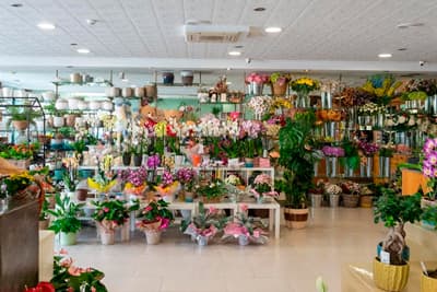 Floristería Alba