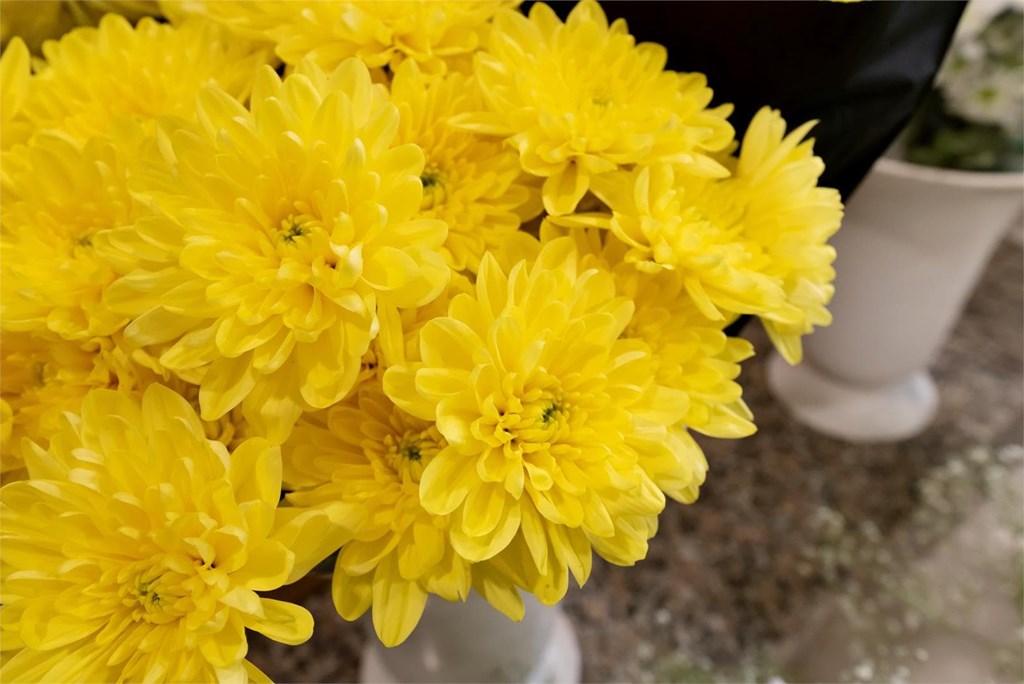 Mayo, el mes de las flores: ¿cuáles son las más típicas? - Flores y adornos
