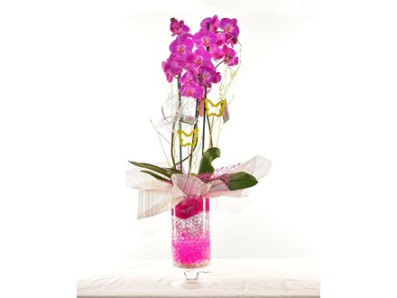 Orquídea en cristal P015 
