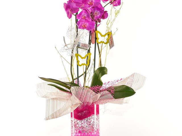 Orquídea en cristal P015 