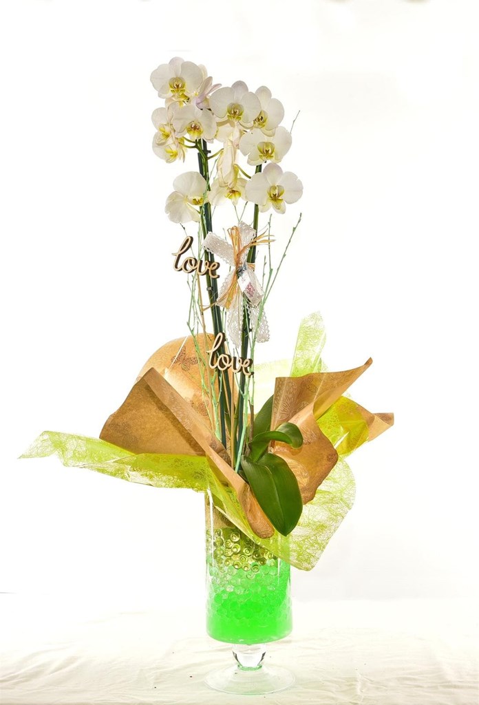 Foto 5 Orquídea en cristal P015 