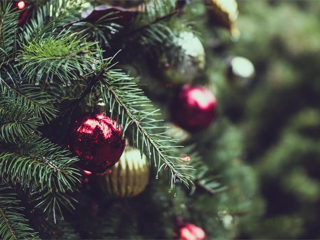 ¿Por qué el abeto es el árbol de navidad? Nuevas tendencias en su decoración